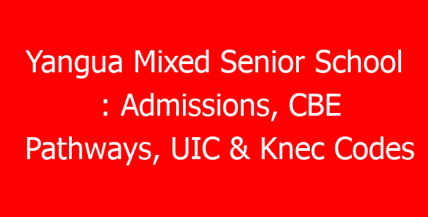 Yangua Mixed Senior School : Admissions, CBE Pathways, UIC & Knec Codes